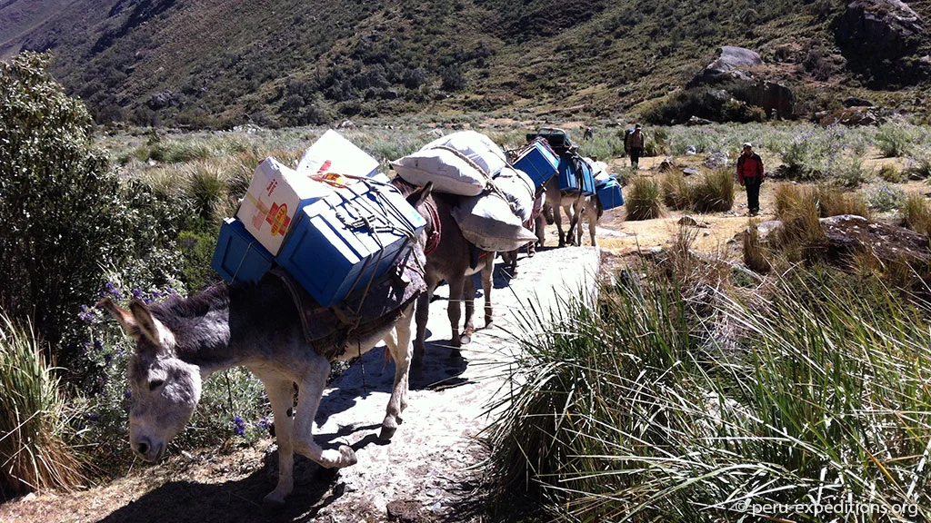 Peru-Trekking-Quebrada-Quillqueyhuanca-Cojub-und-Ishinca-06