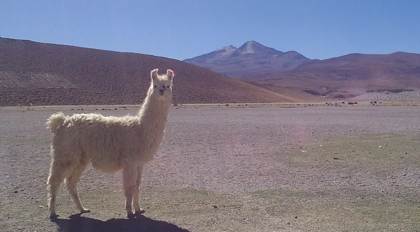 Rundreise durch das Hochland von Bolivien (2)