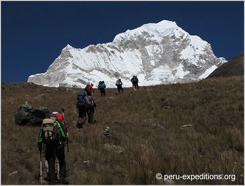 cedros-alpamayo-huascaran (5)